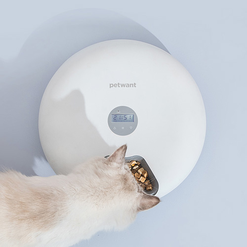 PETWANT Automatic Pet Feeder